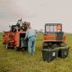 Harvest Time