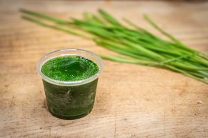 wheatgrass shot