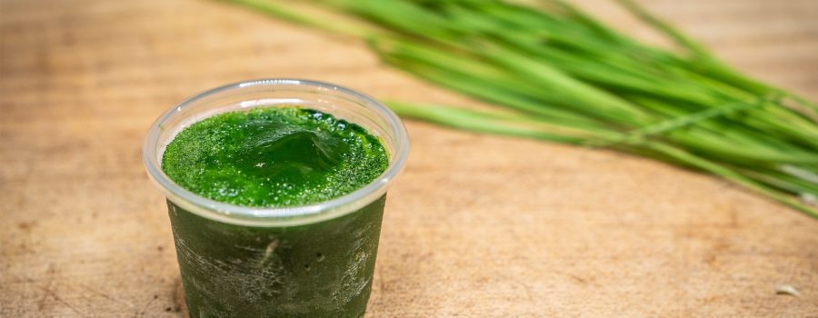 wheatgrass shot