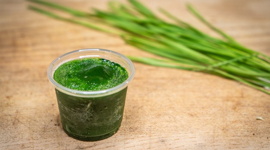 wheatgrass shot