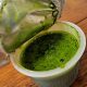 How Wheatgrass Shots Transformed My Allergies