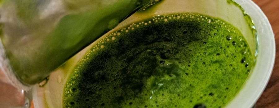 wheatgrass shots