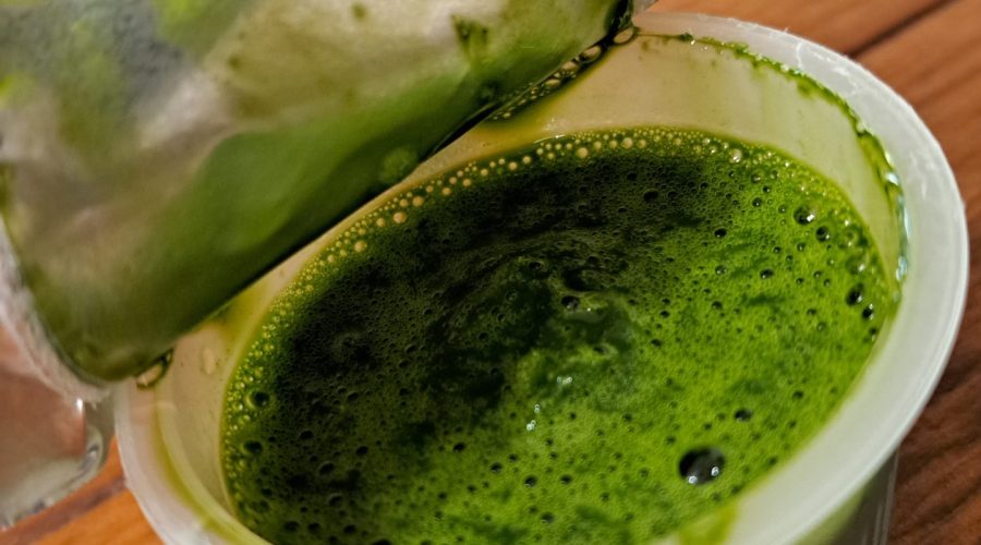 wheatgrass shots