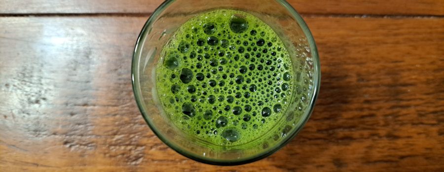 Wheatgrass shot