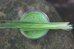Unlocking the Potential of Chlorophyll