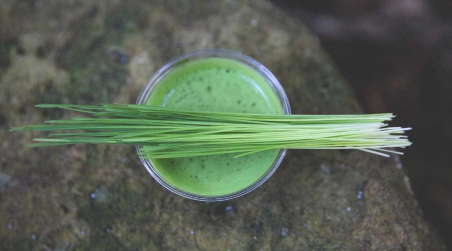 Unlocking the Potential of Chlorophyll