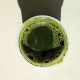 Wheatgrass: A solution for gut health