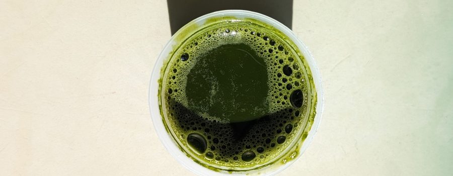 wheatgrass juice
