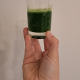 Boost Your Platelet Count with Wheatgrass Juice