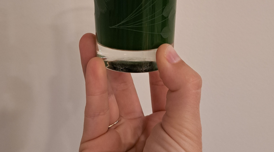 wheatgrass juice