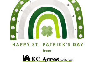 Get Your Green On for St. Patrick’s Day!