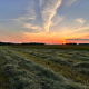 KC Acres Family Farm – July Newsletter 🌱🐓