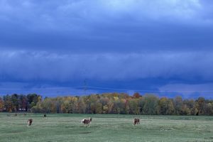 🍁 Family Farming in Full Colour 🍁