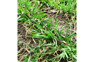 🌱 Signs of Spring on the Farm🌱
