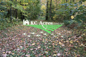 🍂 Fall at KC Acres