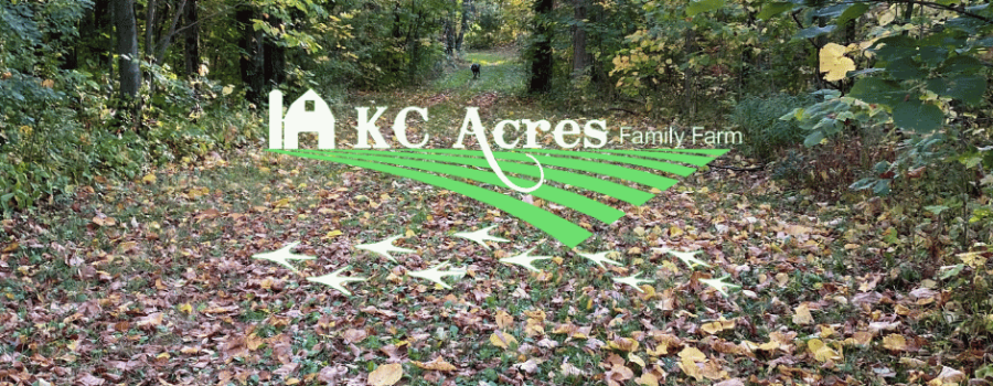 🍂 Fall at KC Acres