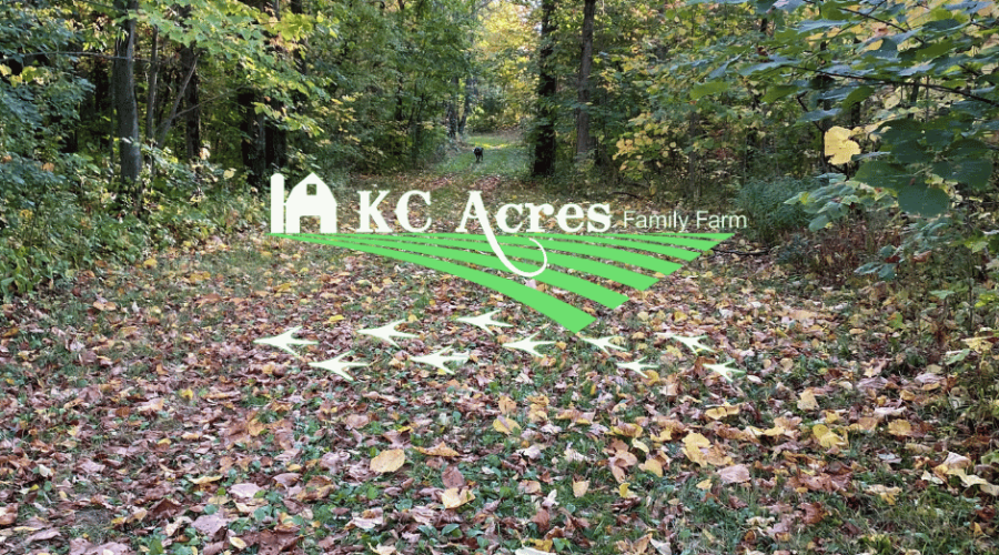 🍂 Fall at KC Acres